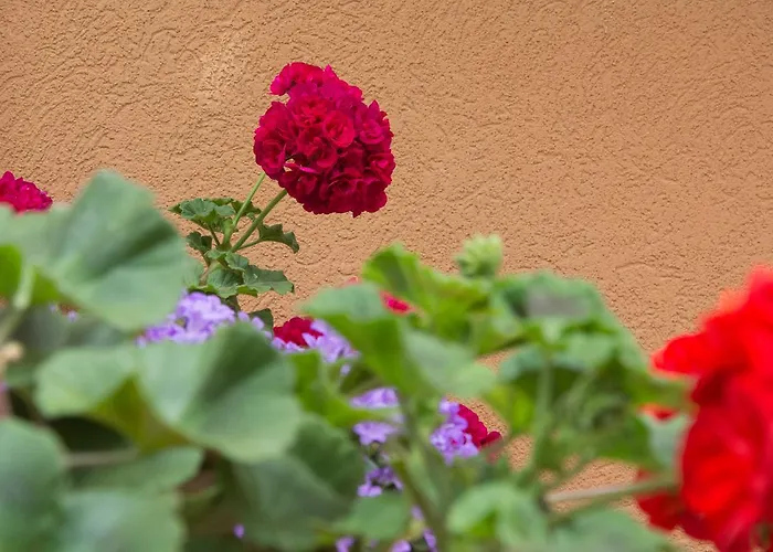 Sunny Complex شقة فندقية